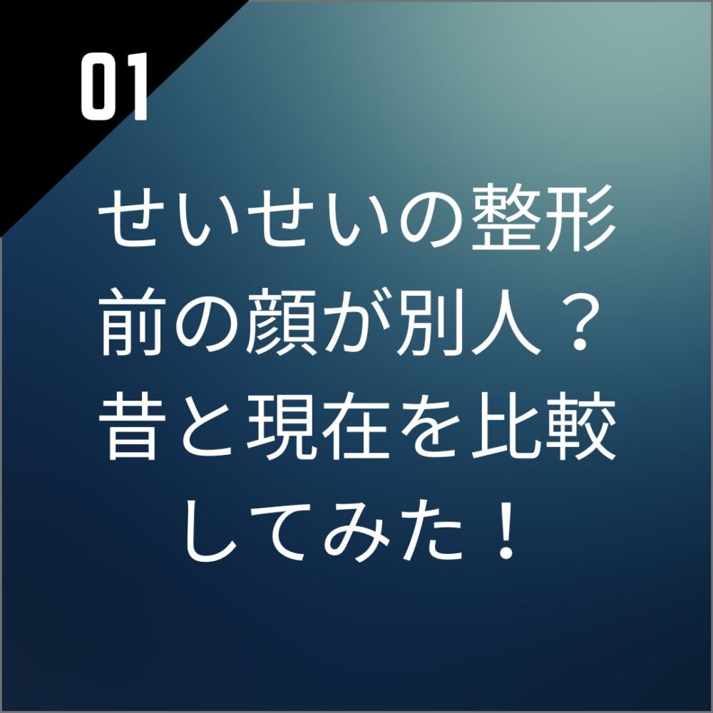 【画像】せいせいの整形前の顔が別人？昔と現在を比較してみた！